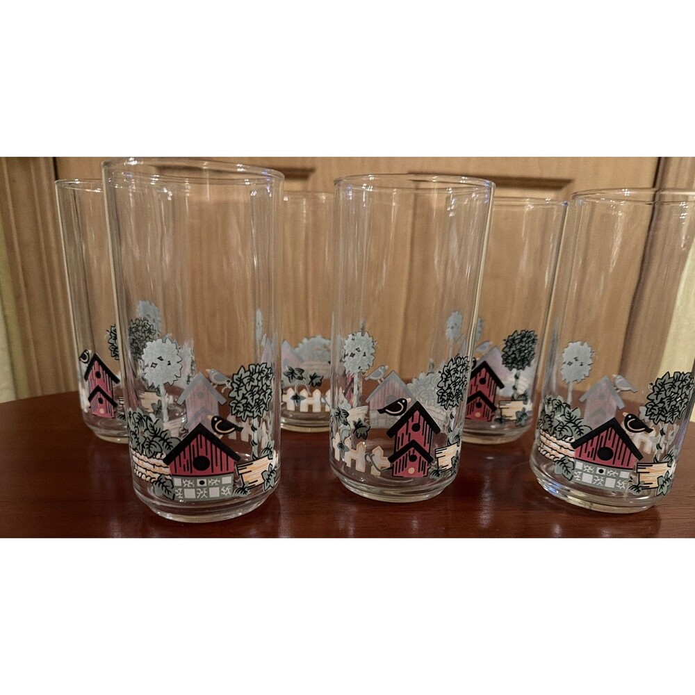 Corelle Garden Home 16 oz  Glass Drink Tumbler Set of 6 Birdhouses & Birds. EUC!